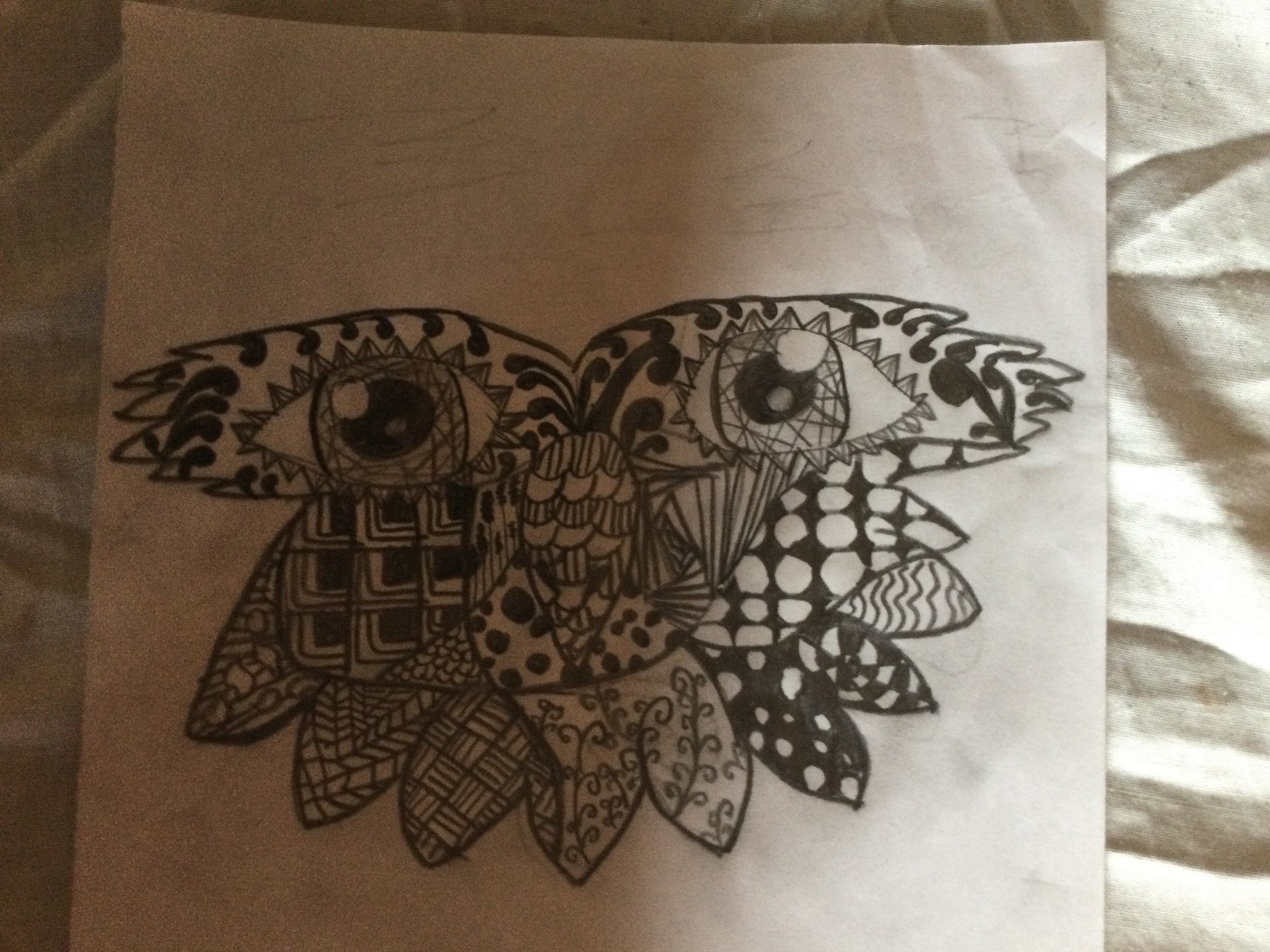 Sylvia clase dibujo  de búho