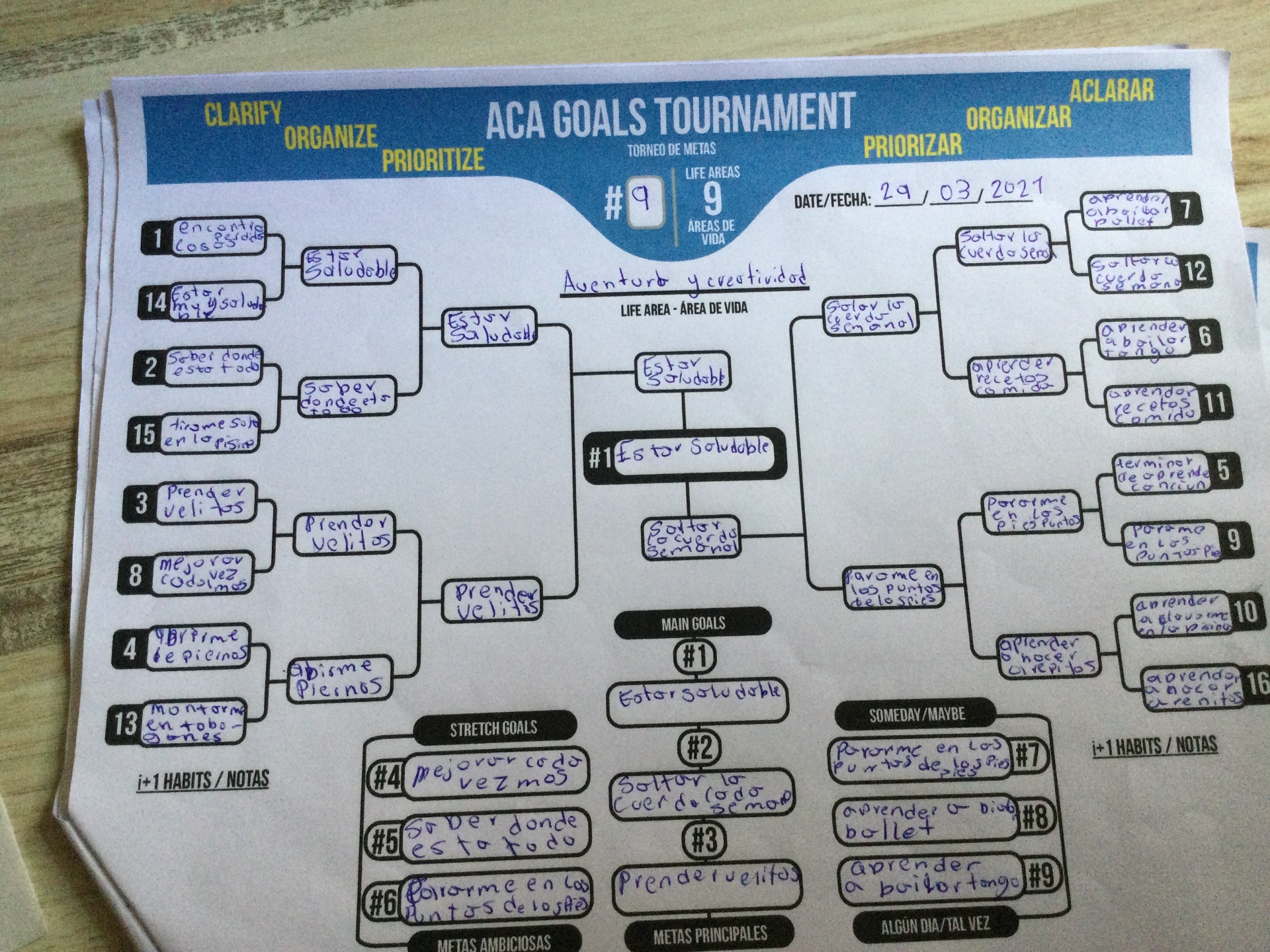 Sylvia nuevos torneos