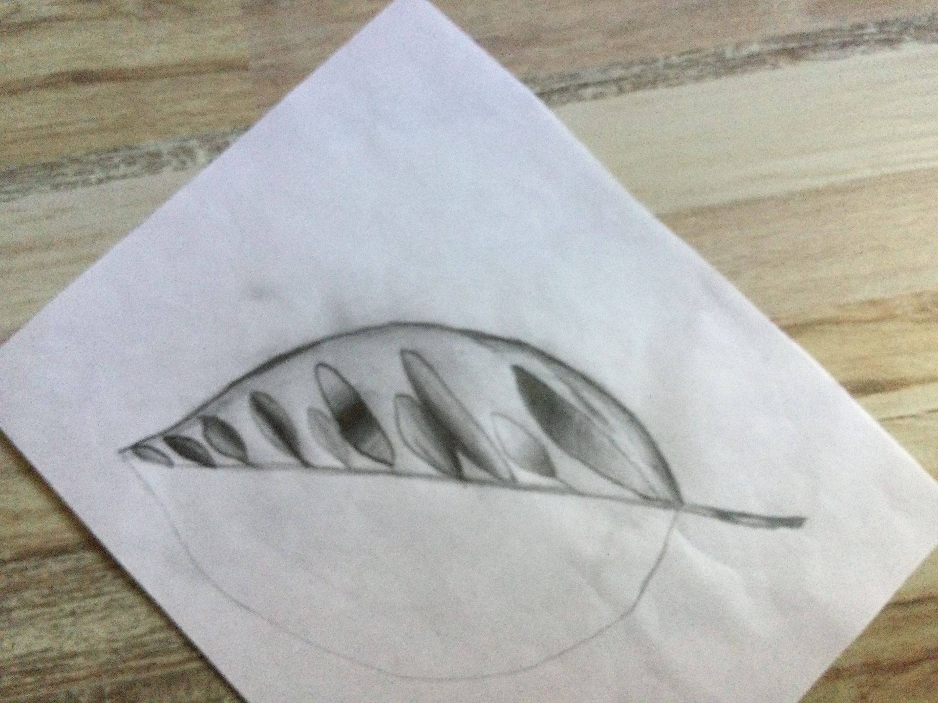 Dibujo una hoja aún no está terminada sylvia