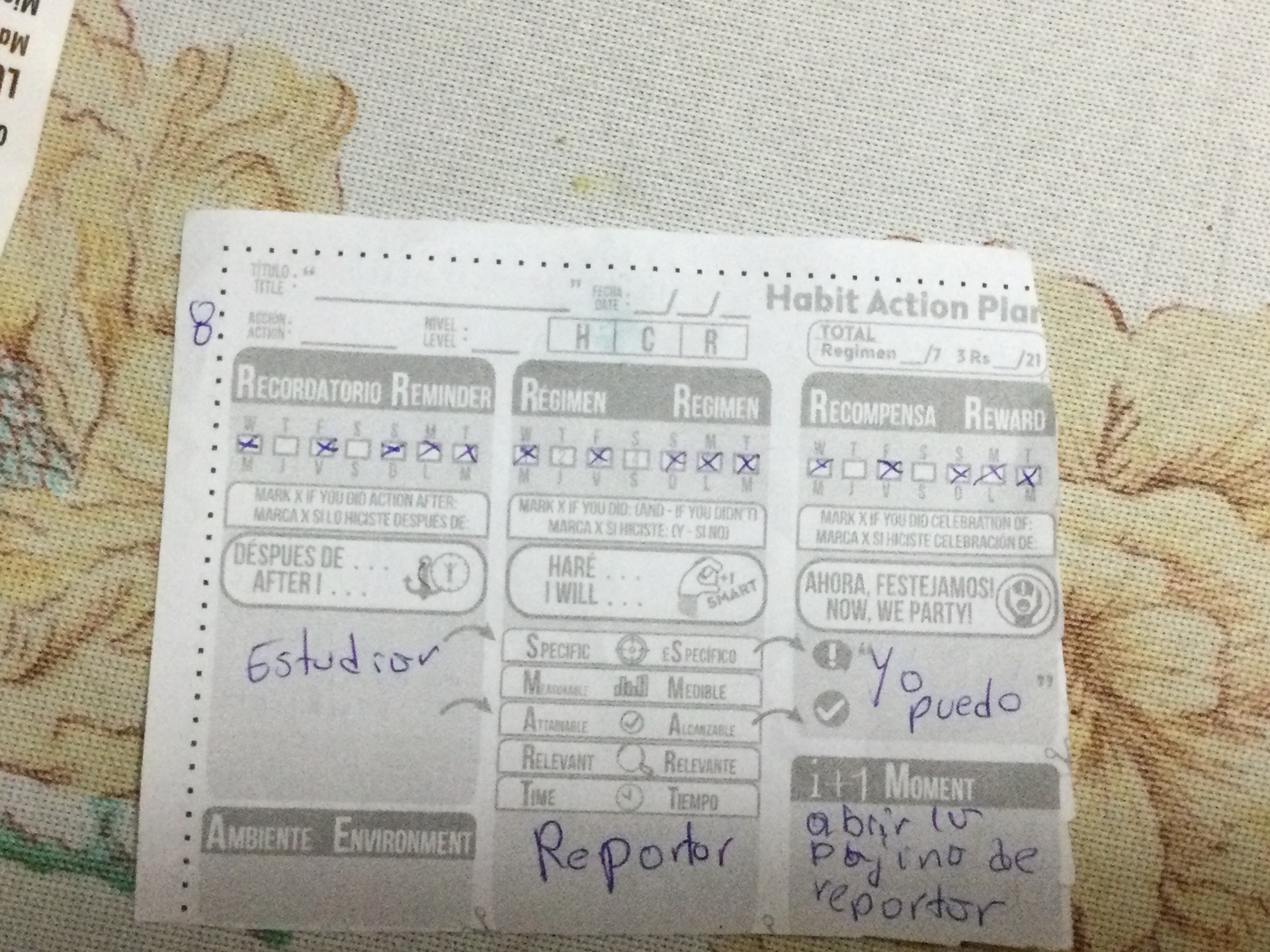 Sylvia habit action plan