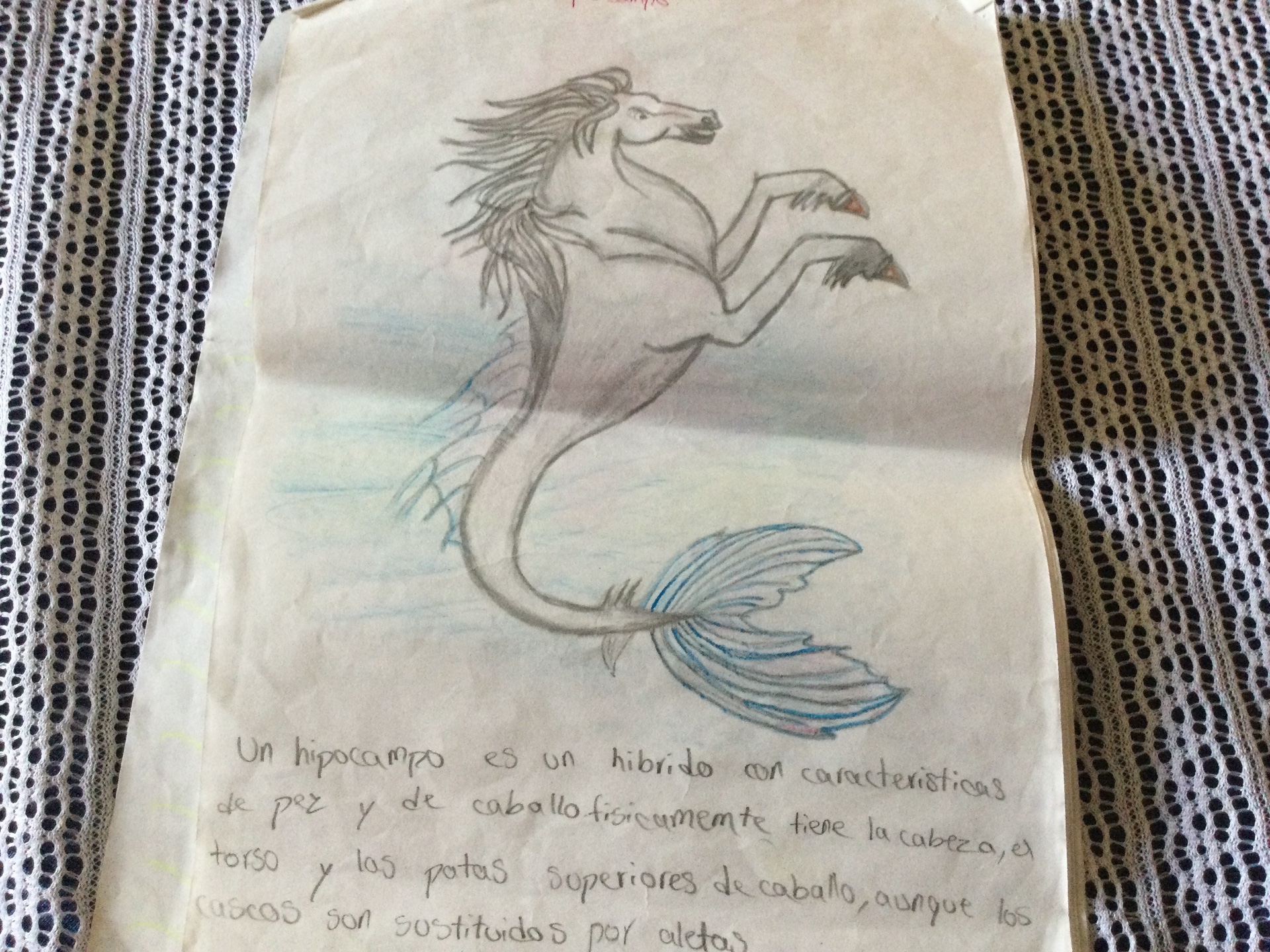 Animal mitológico  hopo campo sylvia