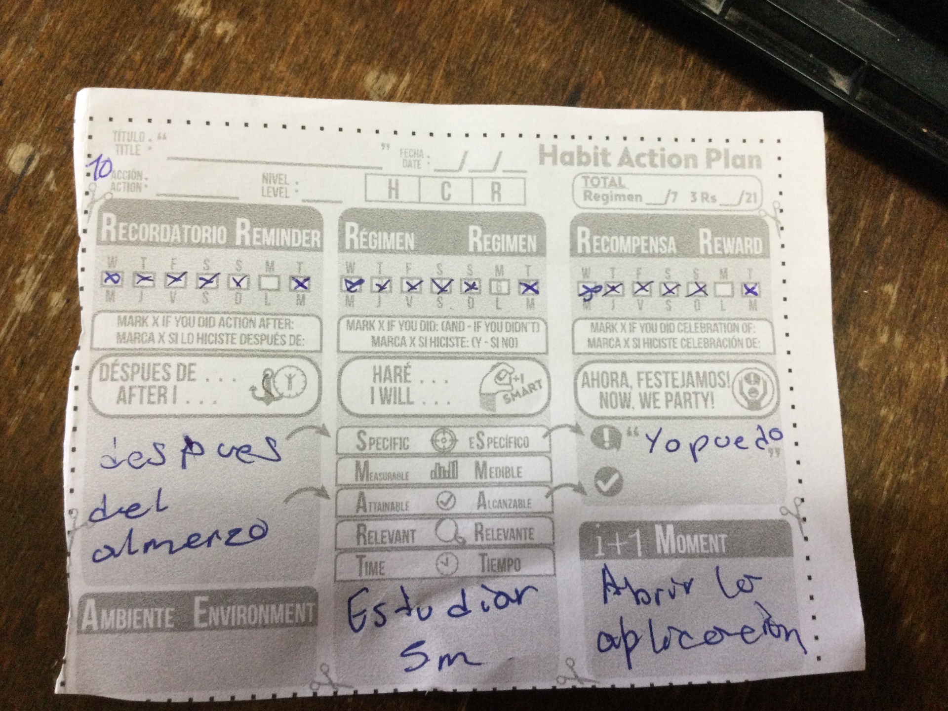 Sylvia habit action plan