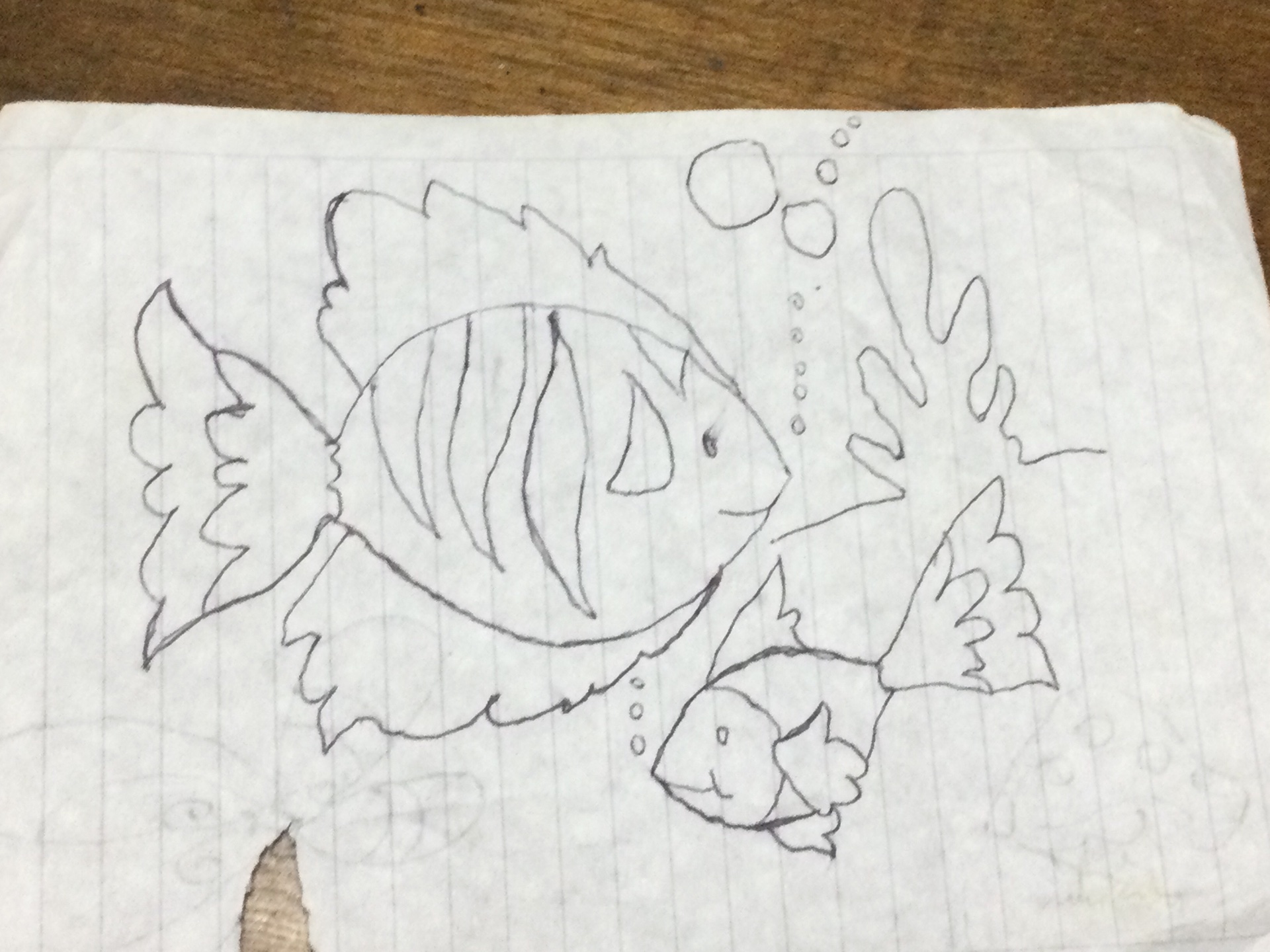 Sylvia nueva forma de hacer un pez