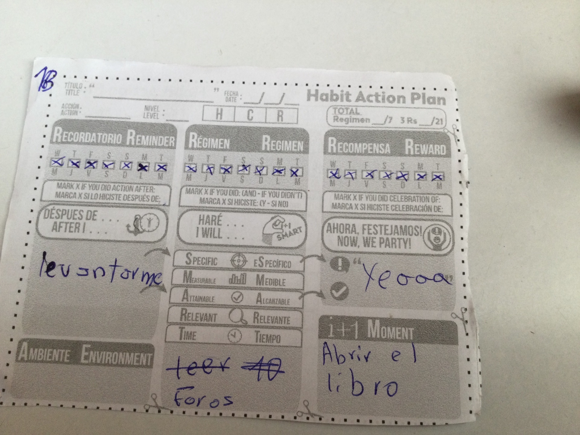 Sylvia habit action de está semana