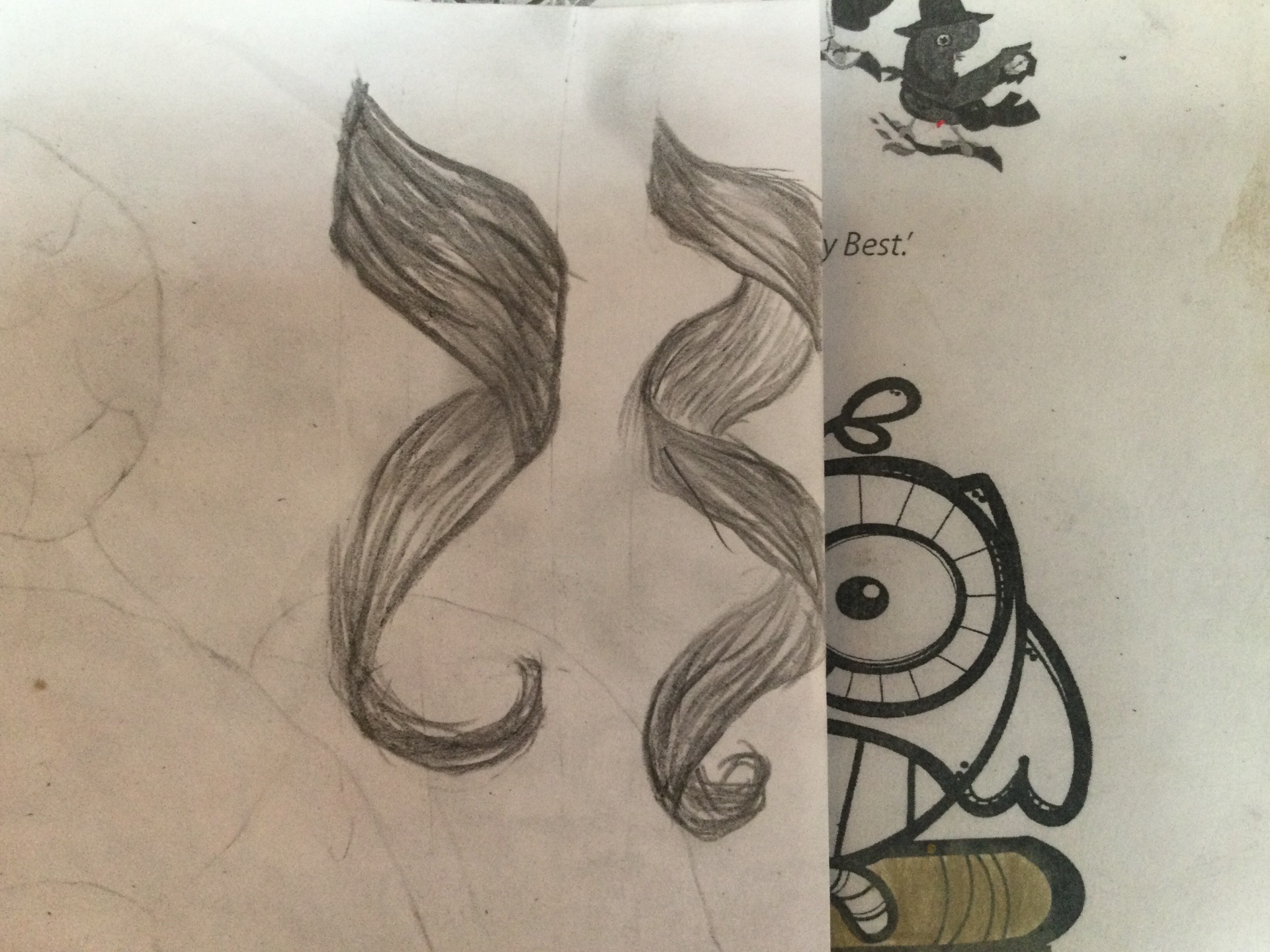 Sylvia formas de hacer crespos en dibujo