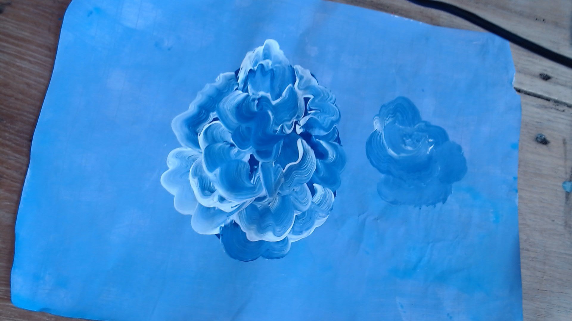 aprendo pinceladas y intento hacer una rosa sylvia