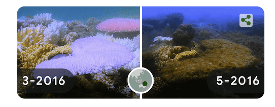 Acidificación de los océanos.png