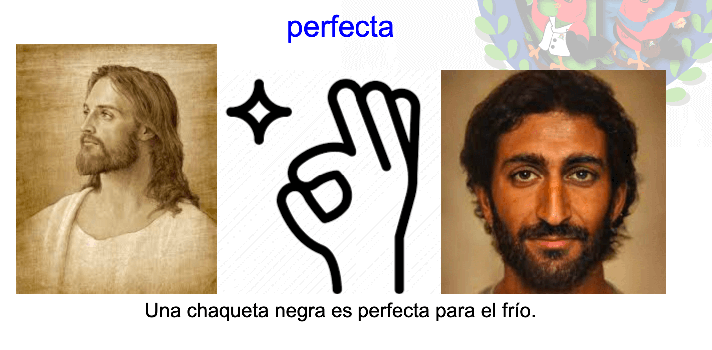 Perfecta Anki.png