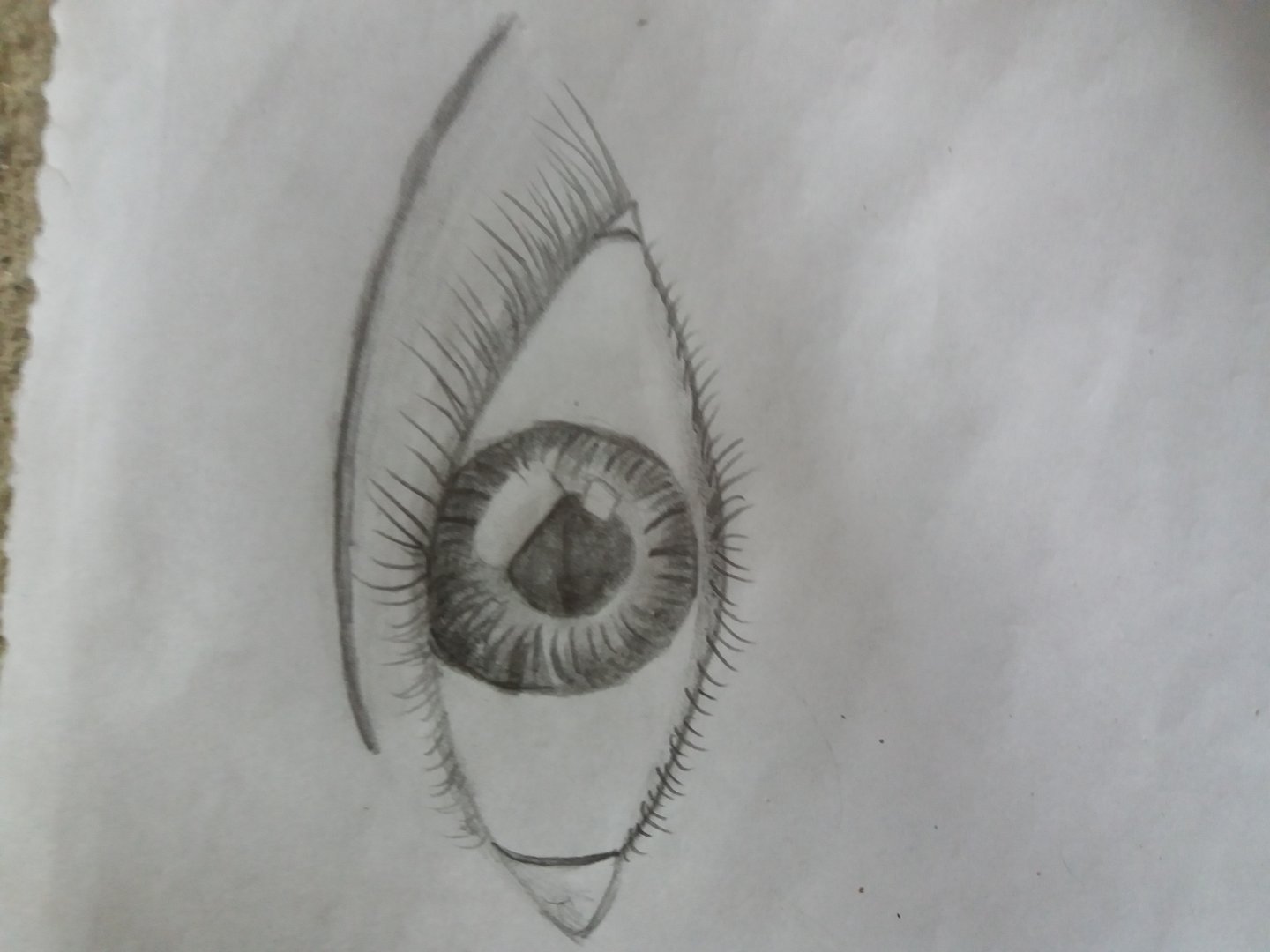 Clasecon angie silvia