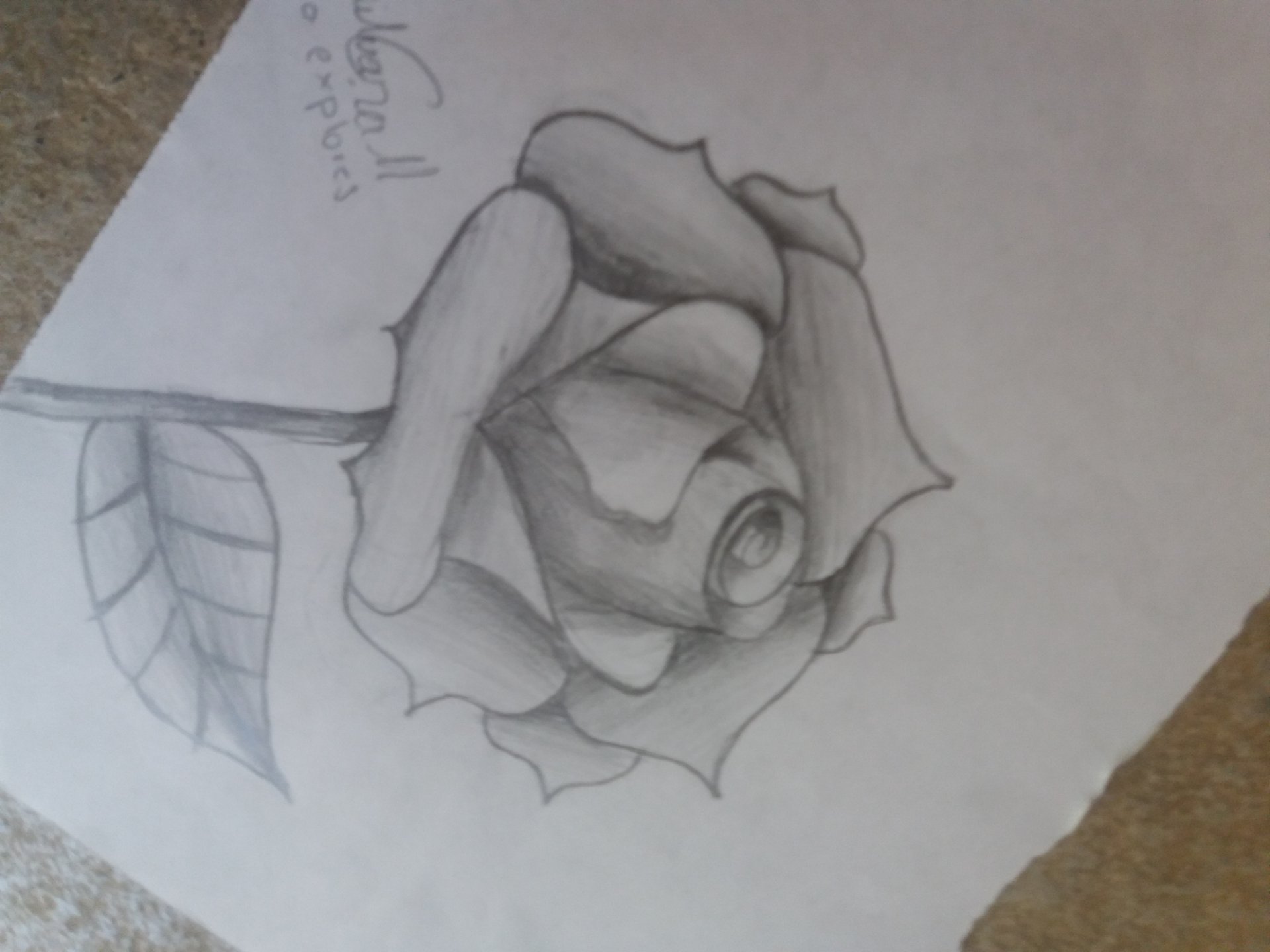 Clase de angie sylvia